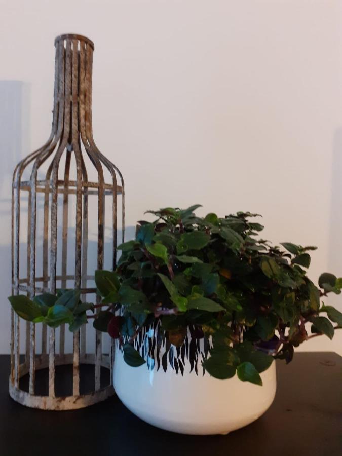 Porto - Your Avant-Garde Getaway Extérieur photo